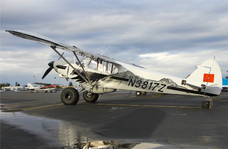 Fms super sales cub